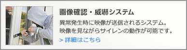 画像確認・威嚇システムの詳細