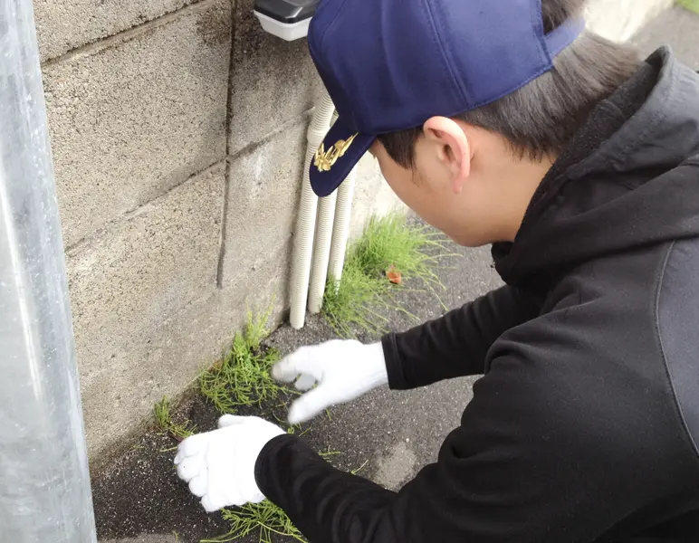 清掃活動をする社員