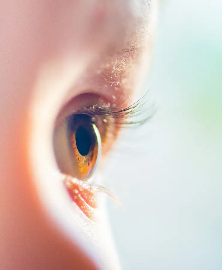 社是・経営理念